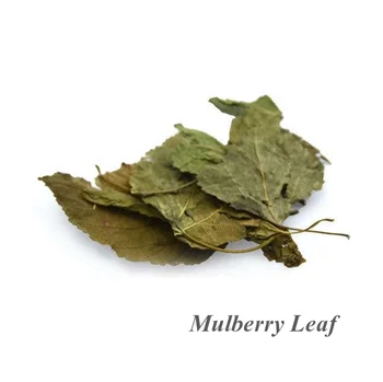 Vendita Calda Materiali Medicinali Cinesi Foglia Di Gelso Folium Mori Buy Foglia Di Gelso Folium Mori Sang Ye Product On Alibaba Com