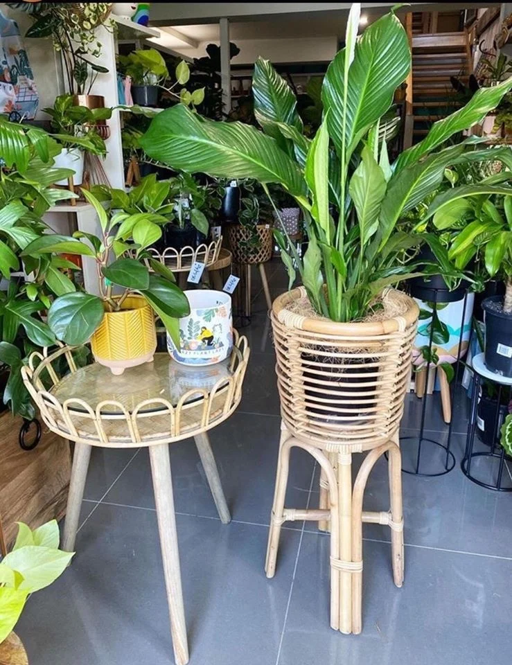 Wicker Stand Planter Pot Unique Rattan Panel Planter Stand Rattan Cane Furniture Wicker