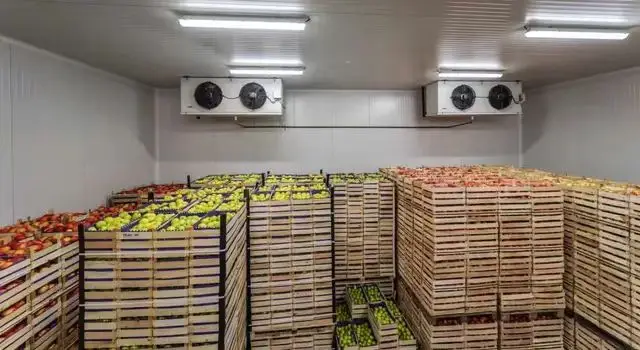 Customized Walk-in Cold Storage Cabinets - Fresh-Keeper Freezer