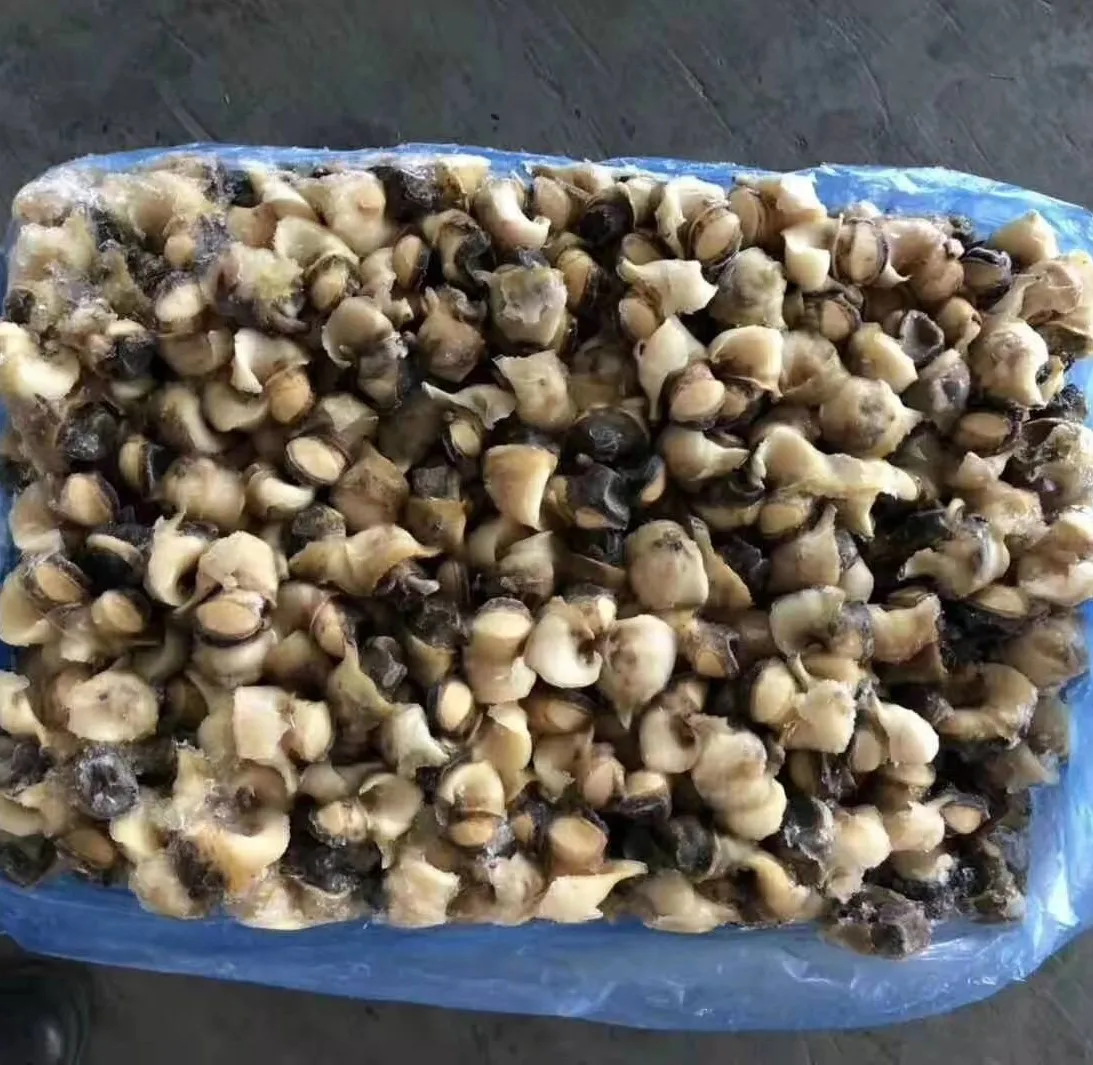 conch meat 1.jpg
