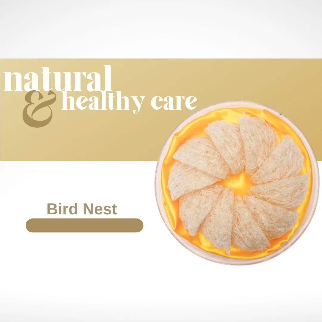 Dry Bird Nest Corner Edible Customized Birdnest Swallow Bird Nest From Vietnam Buy Healthcare