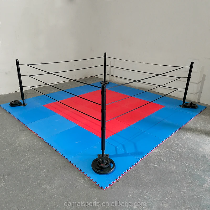 Fightbro Fpr Portable Small Boxing Ring