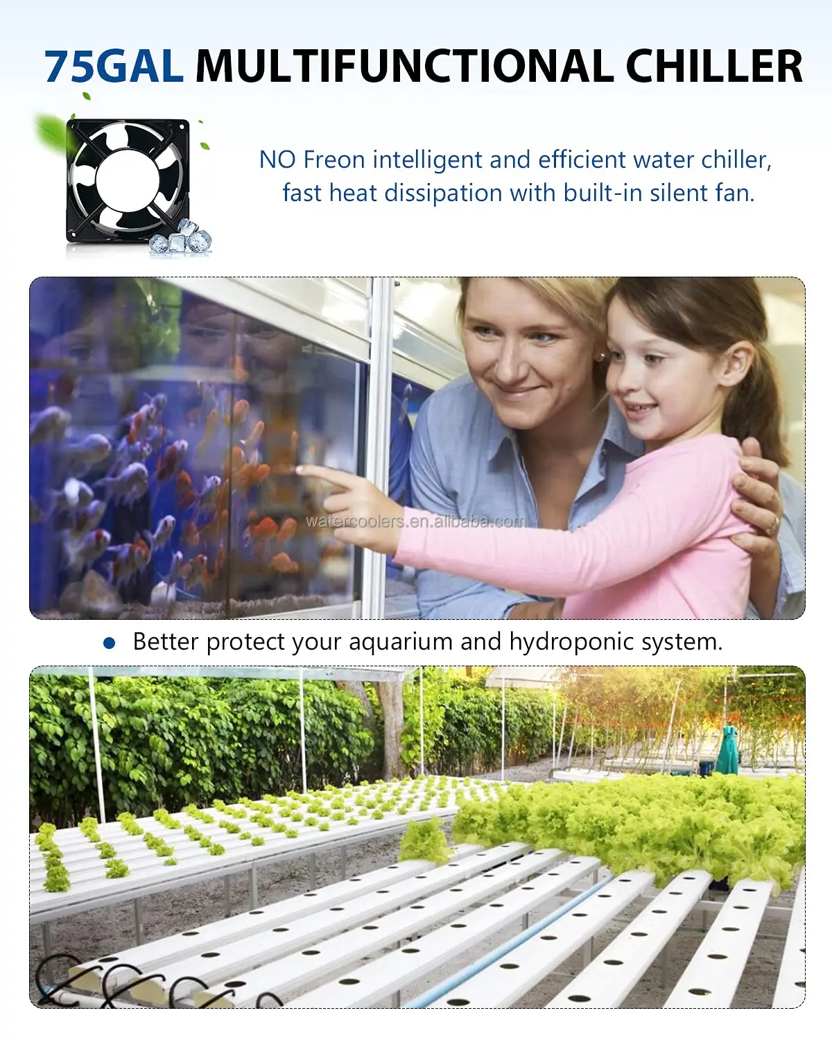 Hydroponic Water Chiller, 220V, 110-240V, 500w - detail 10