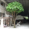 New design artificial tree OAK trunk with Ficus leaves for decoration