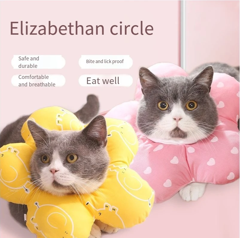 Cheap Replacement Elizabeth Coop Cat Kit Bites And Licks And Shame