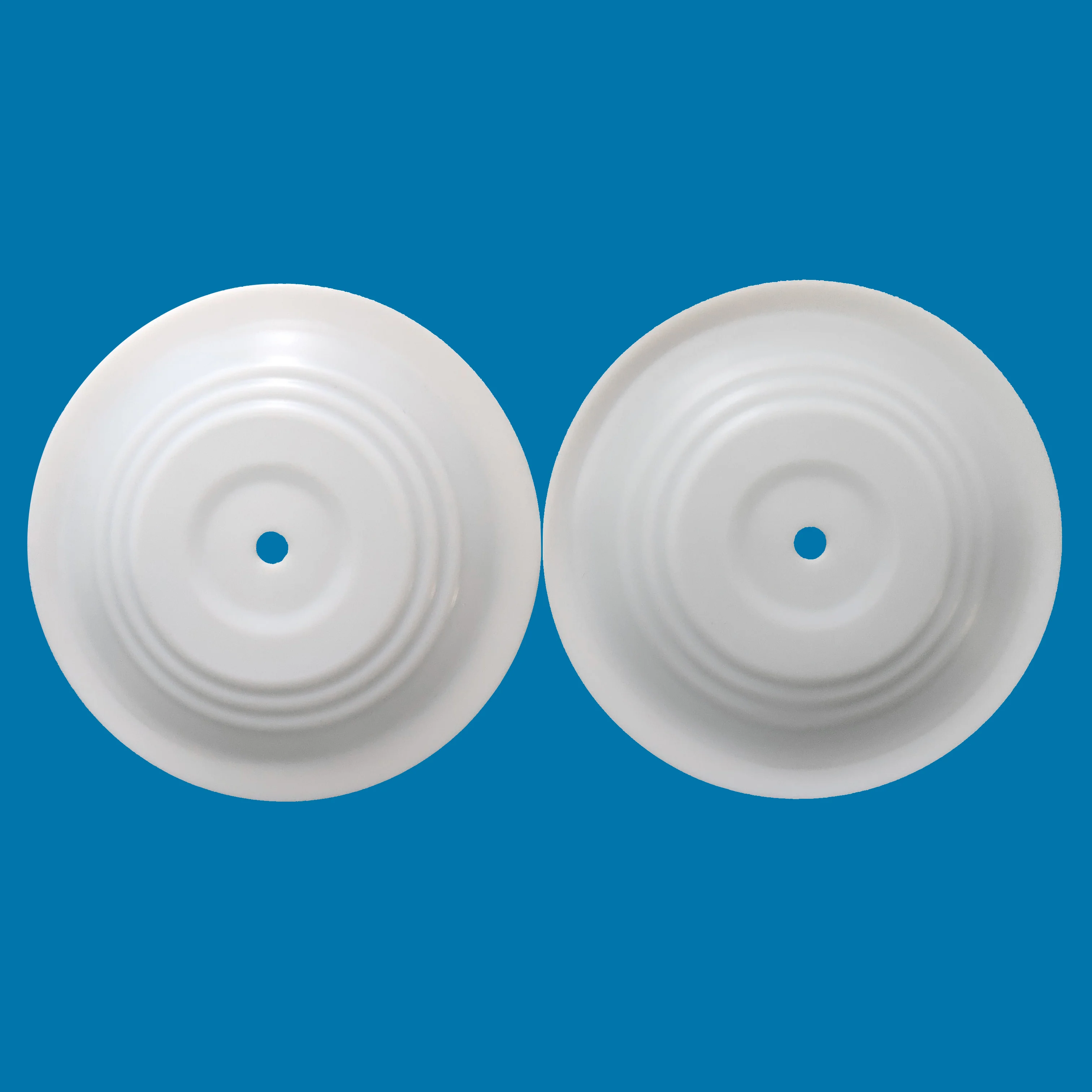 CF286.070.600 Diaphragm  supplier