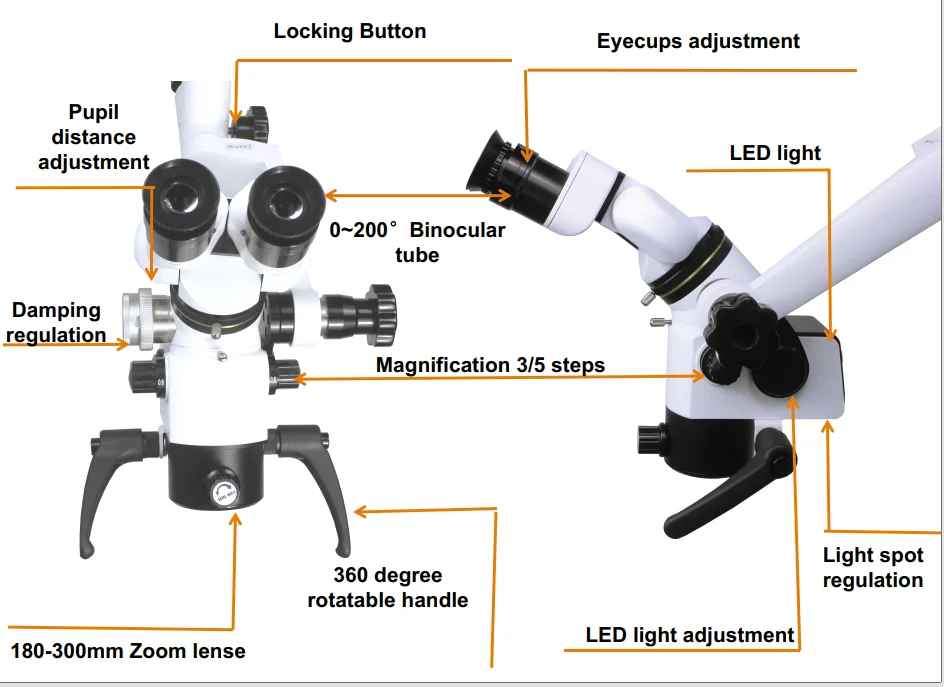 Dental Root Canal Treatment Endo Motor Endodontic For Surgery Binocular