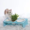 animal custom new design pet food water plastic cup and bowl