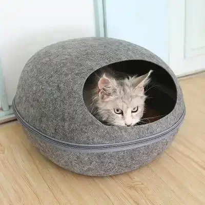 H7dbb9ec395a6479fb5b3f5053305baa6S