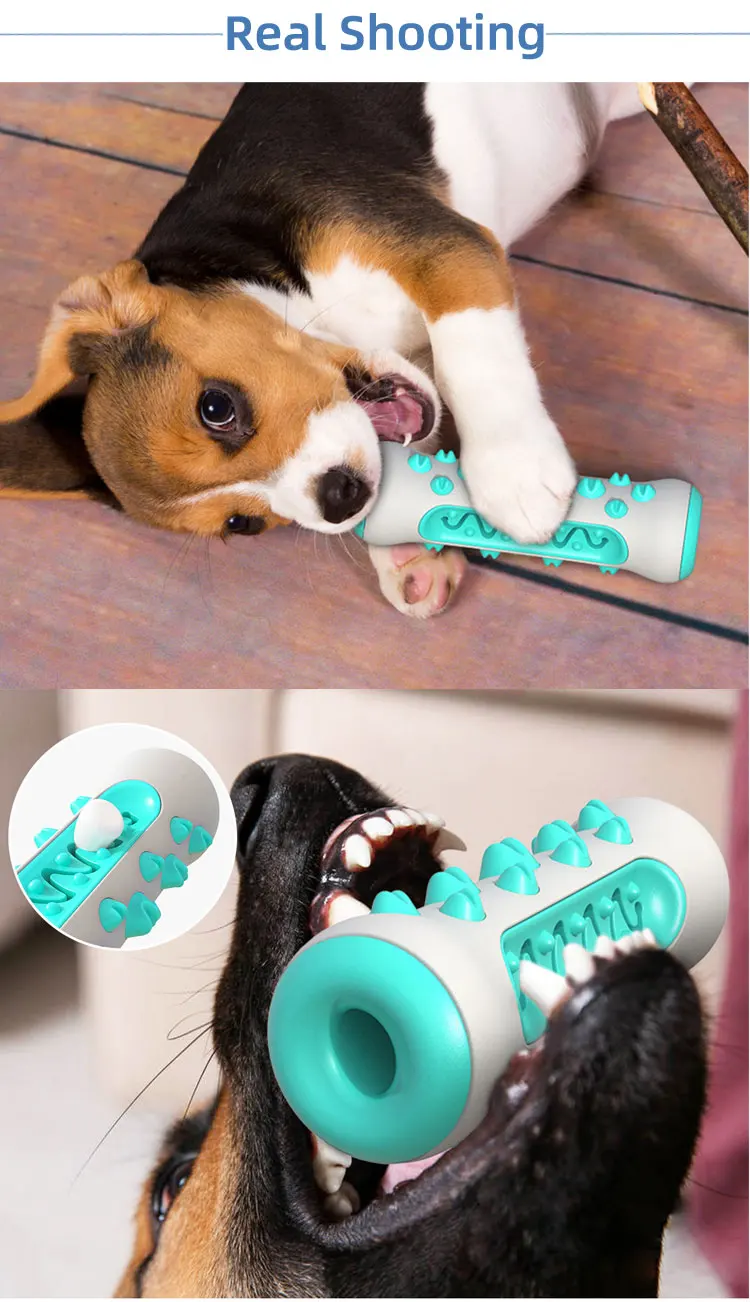 Brushing Teeth Cleaning Rubber Puppy Pet Chew Toys Dog Toothbrush Stick