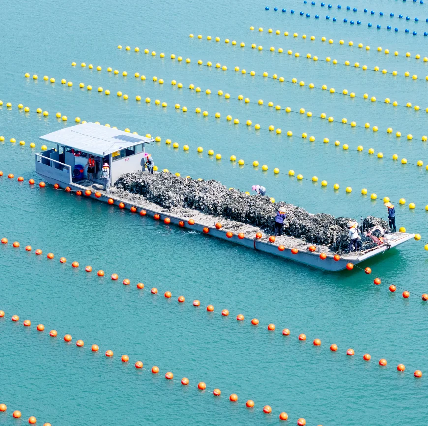 Hdpe Raft HDPE Raft Type Suspended Floating Ball| Alibaba.com