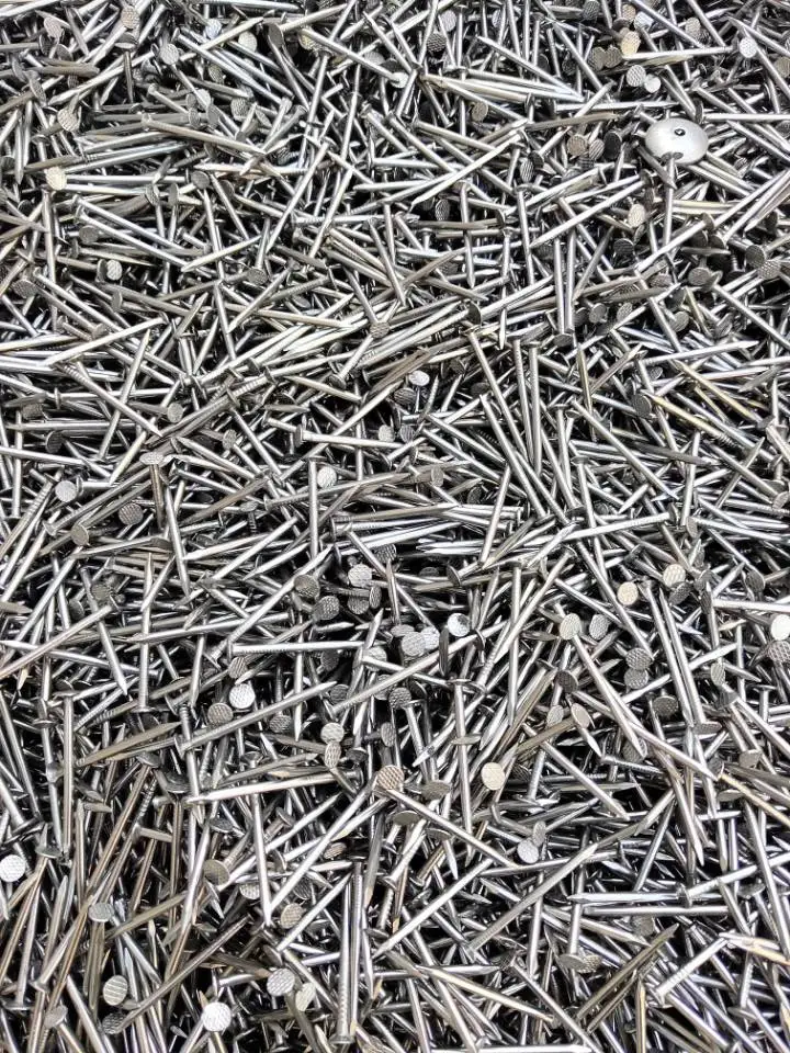 Polishing or galvanized  common round iron wire nails