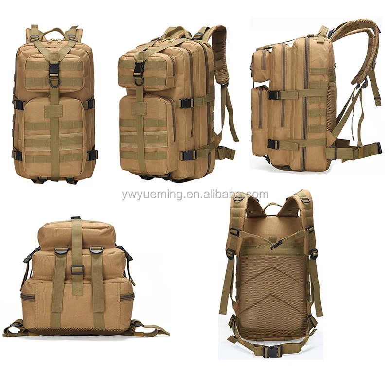 All Around Show (2).jpg