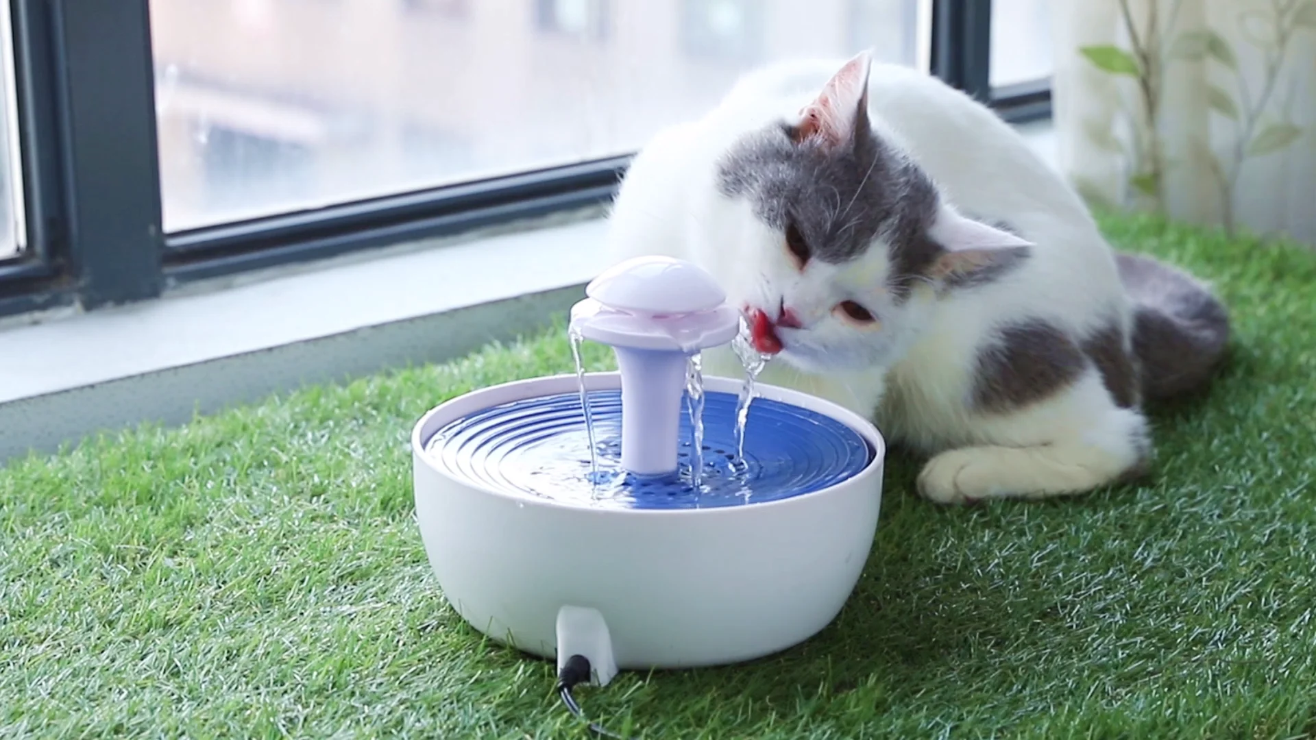 Поильник для кошек. Поилка фонтанчик Xiaomi. Автопоилка ПЭТ диспенсер. Автоматическая поилка для кошек ксиоми. Электропоилка фонтан для кошек.