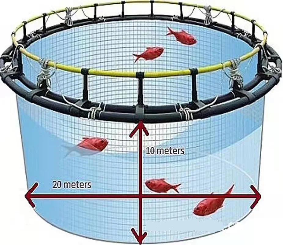 fish farm cage accessories Mesh Cages with Removable Top Cover This all 5Pcs Carp Fishing Bait Trap