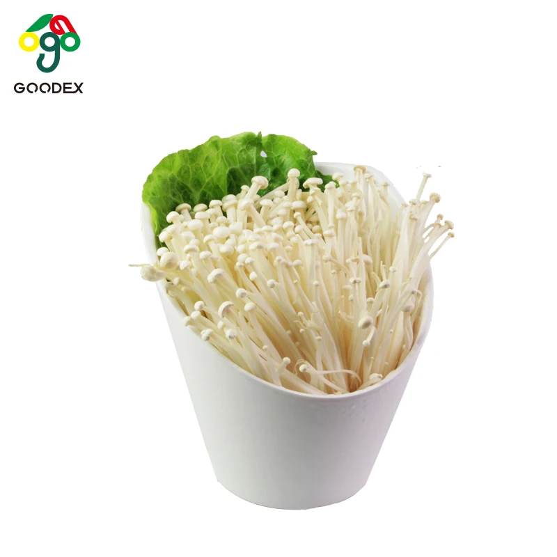 good taste dried needle mushroom enoki mushroom,needle enoki