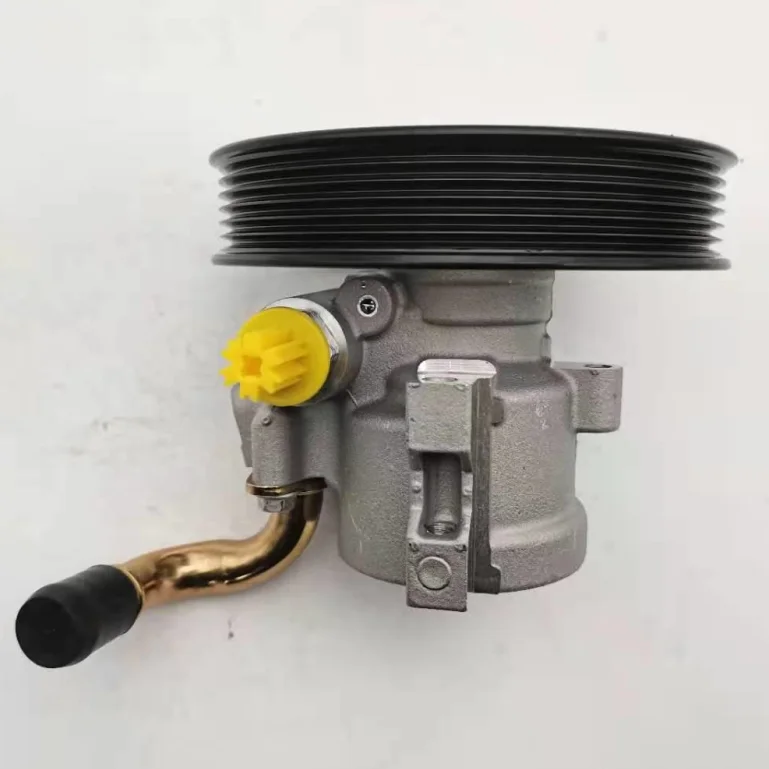 Power Steering Pump For Chevrolet Vietnam 1.8(old Model) 95216832