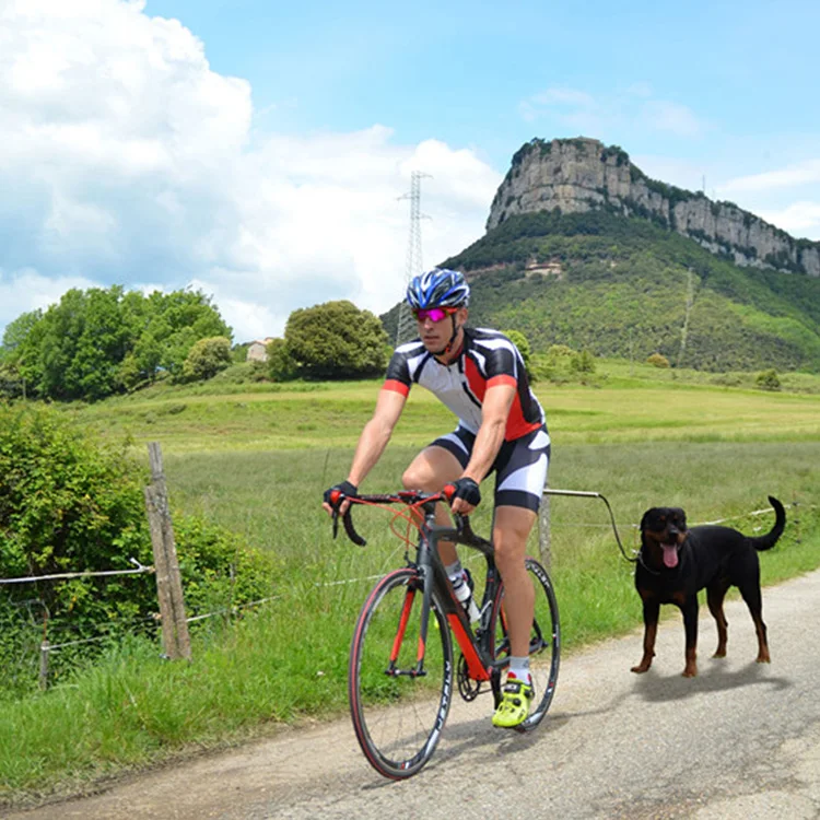 Nylon Elastic Dog Bicycle Traction Belt Rope Dog Leash Bike Attachment Pet Walk Run Jogging