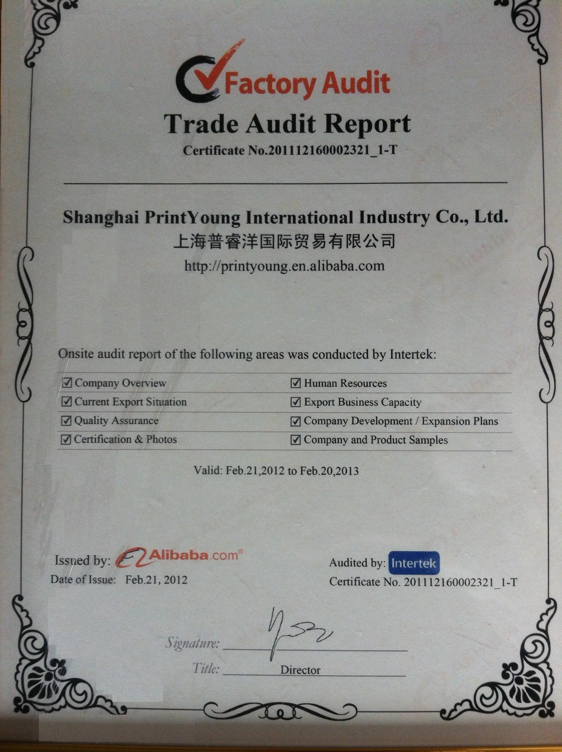 Audit Report