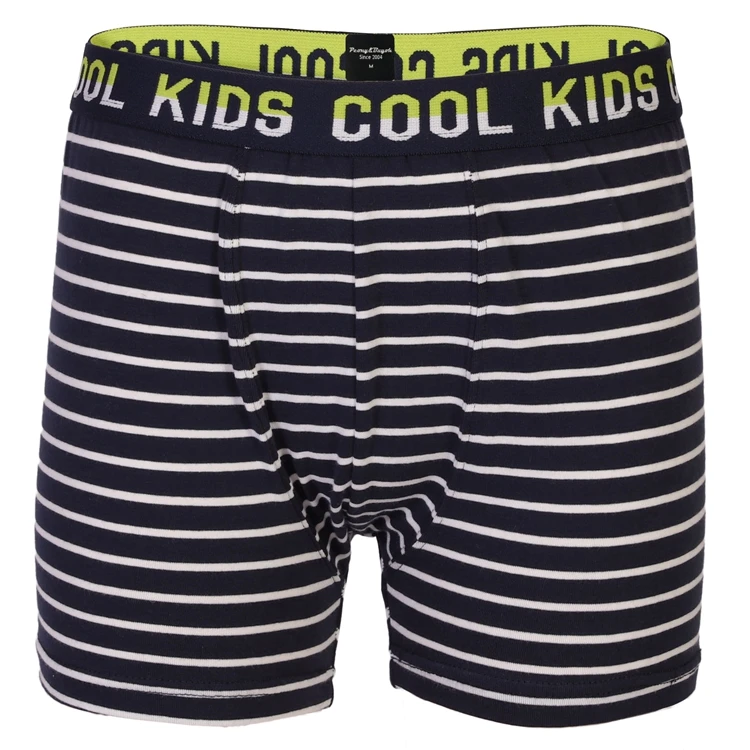 
Stripe print pattern breathable organic cotton boxer little boys kids underwear teen 