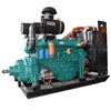 Good quality 2 cylinder diesel engine new design