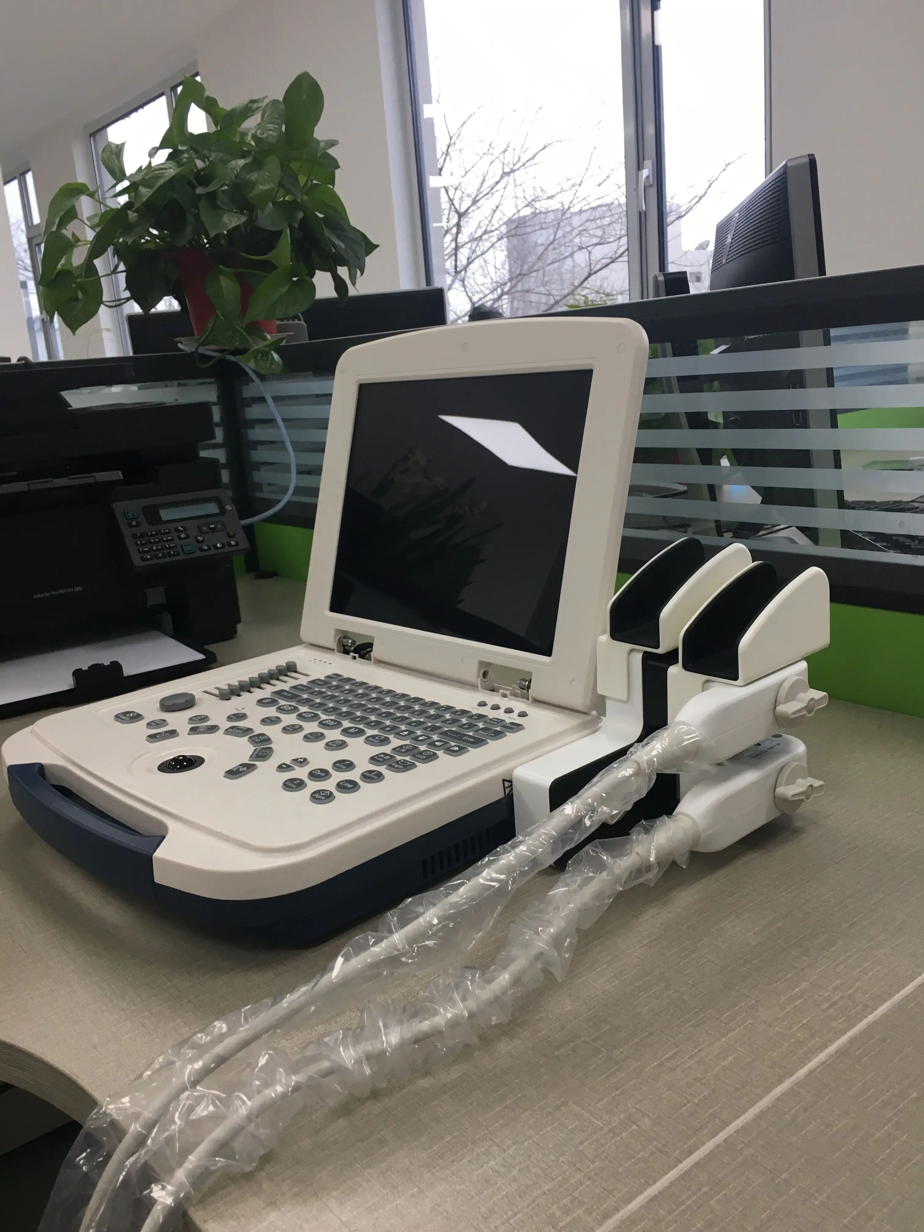 医疗设备热卖最便宜的便携式超音波机器仪器成本带探头用于人类宠物