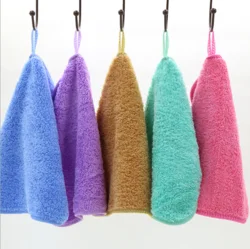 Korea Coral fleece towel