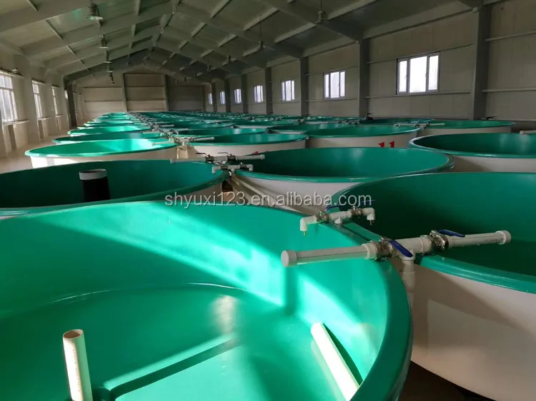 Fish Farming Equipment For Circulating Water Automatic Monitoring And