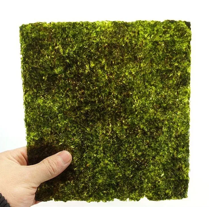 sushi seaweed 8.jpg