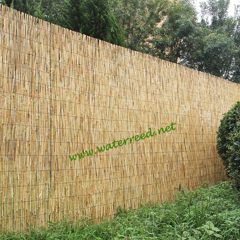 reed fence 6.jpg