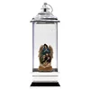 ABS material LED lighted Christmas water lantern with Nativity and Angel scene with musical and timer for seasonal indoor