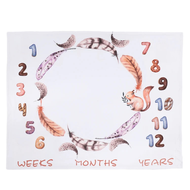 
2019 Amazon Hot Sale New Design Double Sided Different Pattern 2-Ply Babies Milestone Super Soft Fleece Baby Blanket 