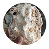 Wholesale natural semi-precious stone quartz agate stone raw materials