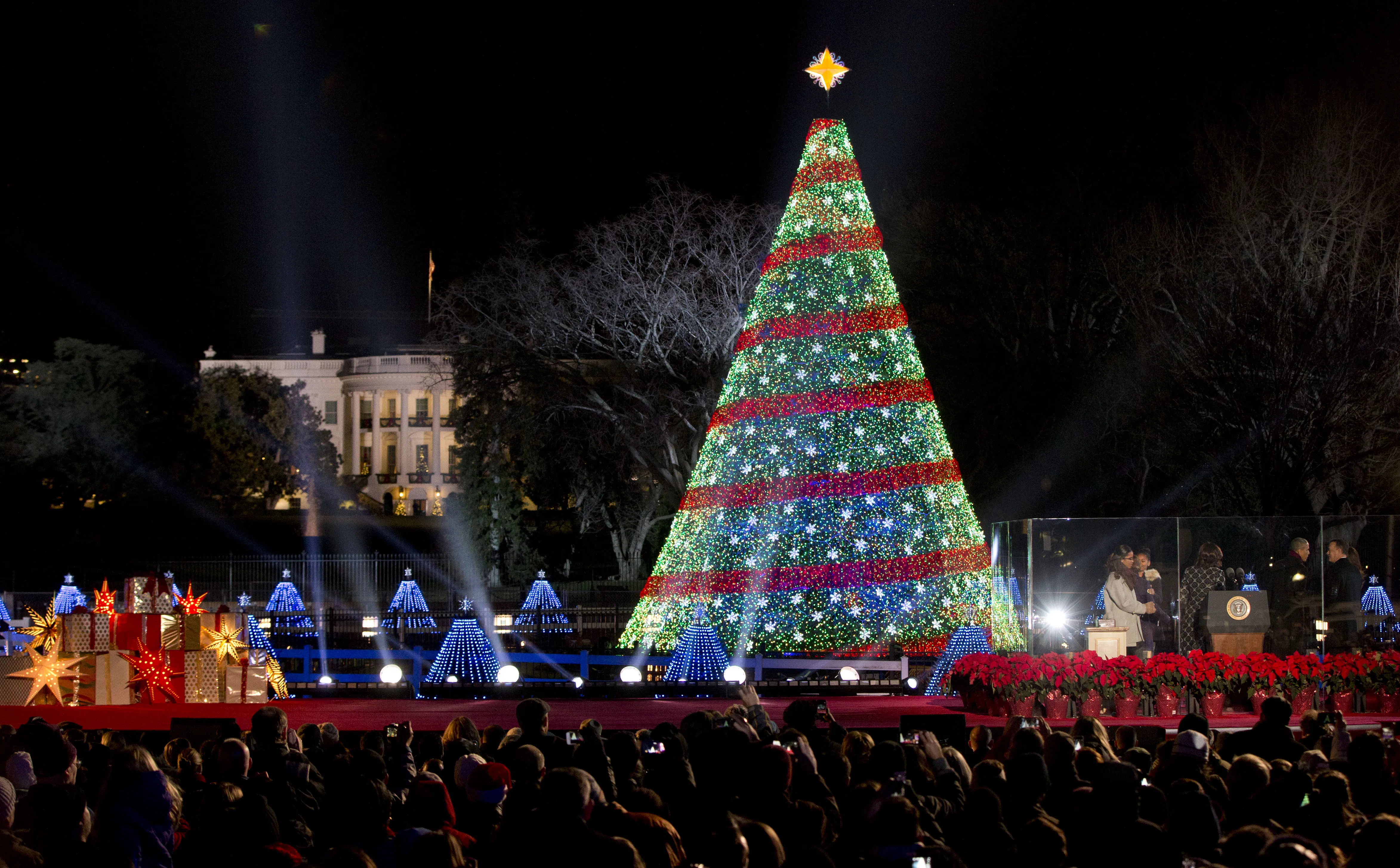 Rockin christmas tree. Президент арчаси. Главная елка в Вашингтоне. Главная елка США. Новогодняя елка в Америке.