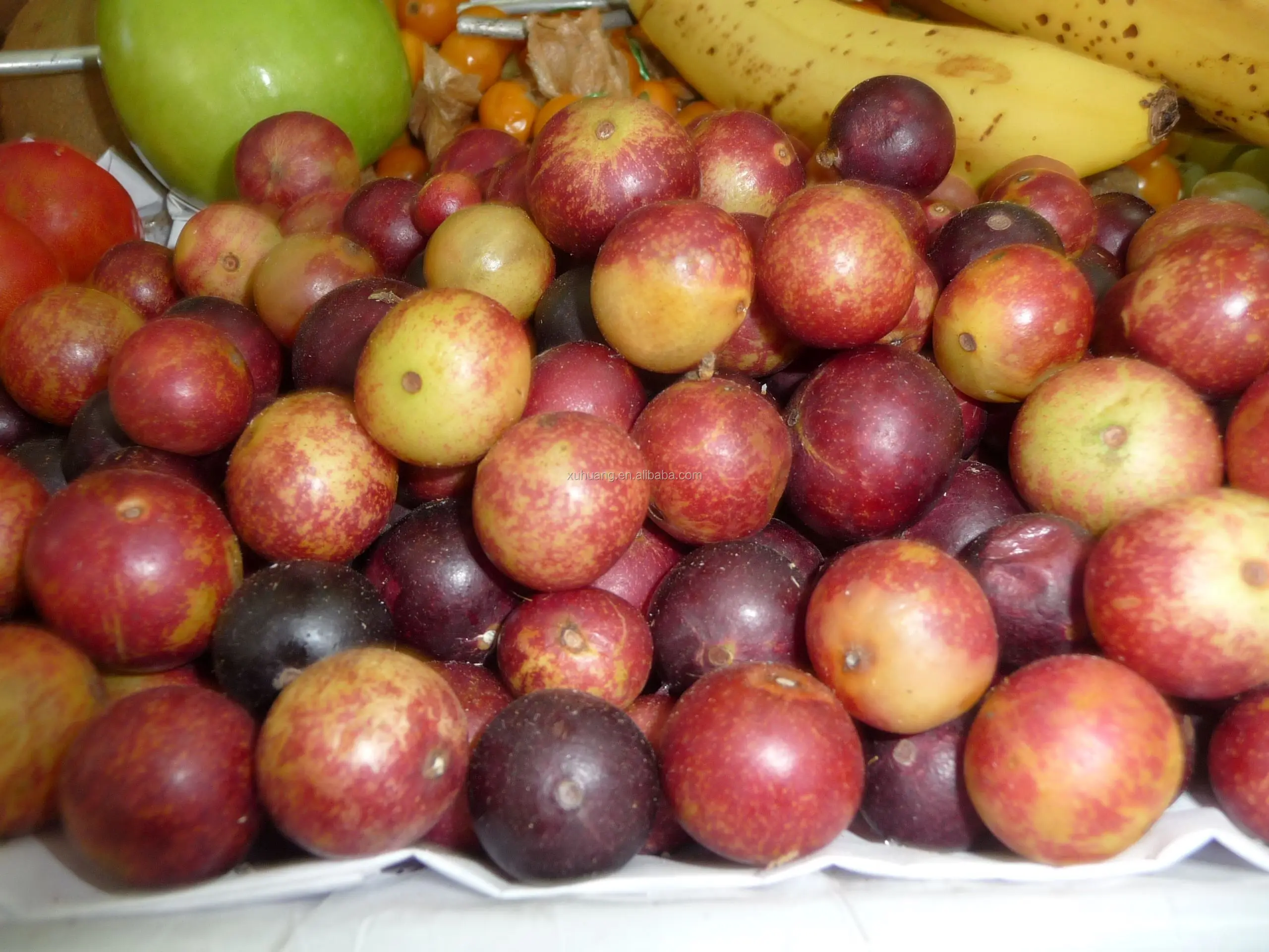 热卖camu camu粉 - buy camu camu powder product on alibaba.com