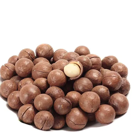 Dried Macadamia Nuts 5kg Per Carton Box Raw Organic Bags Shell Style Time Packaging Food Origin