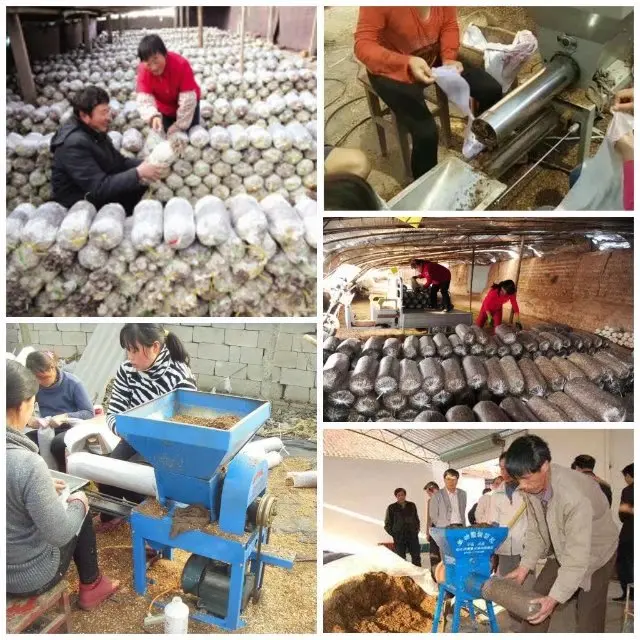 mushroom bagging