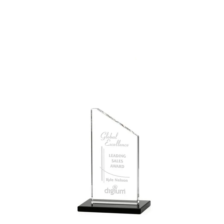 Dixon Award - Black.jpg