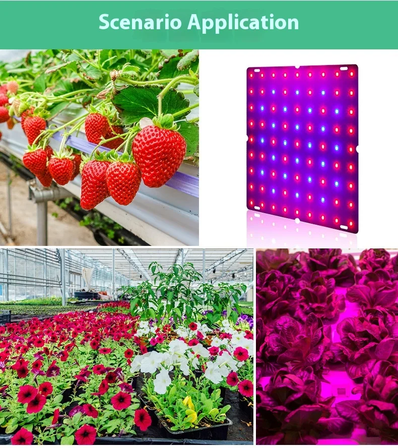 product led plant light indoor ultra thin full spectrum plant growth light greenhouse seedling quantum plate plant light298-10