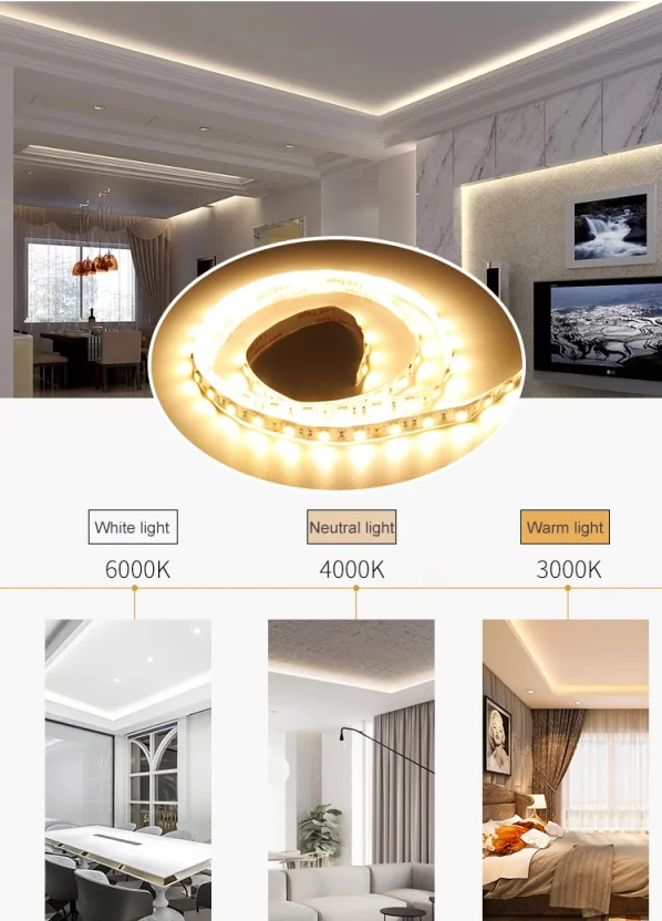 led light strip DC12V/24V SMD5050/3825/2835 IP20 IP65 IP68 waterproof flexible led strip light