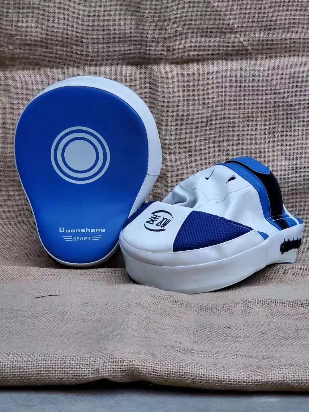 boxing focus pad1.png