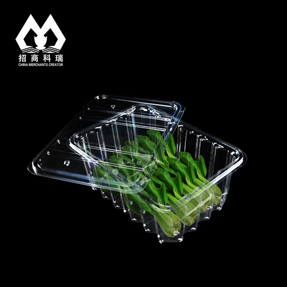 Disposable Clear Plastic Fruit And Vegetable Packaging Box Take