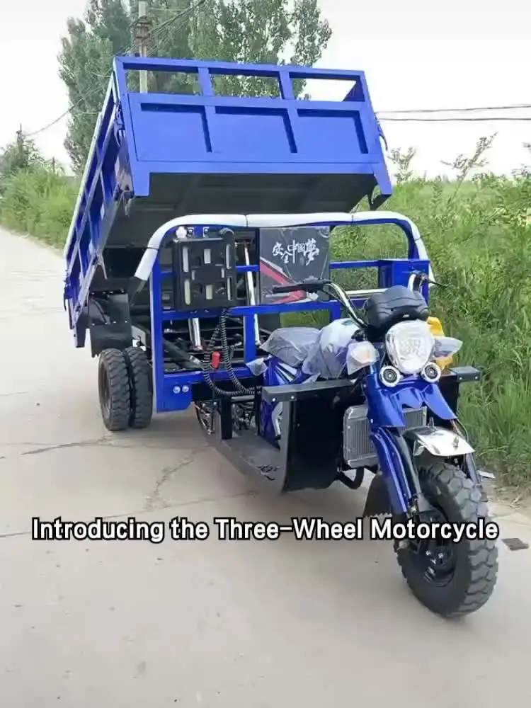 Tricycle Motor Cargo Car Efficient Delivery Solutions