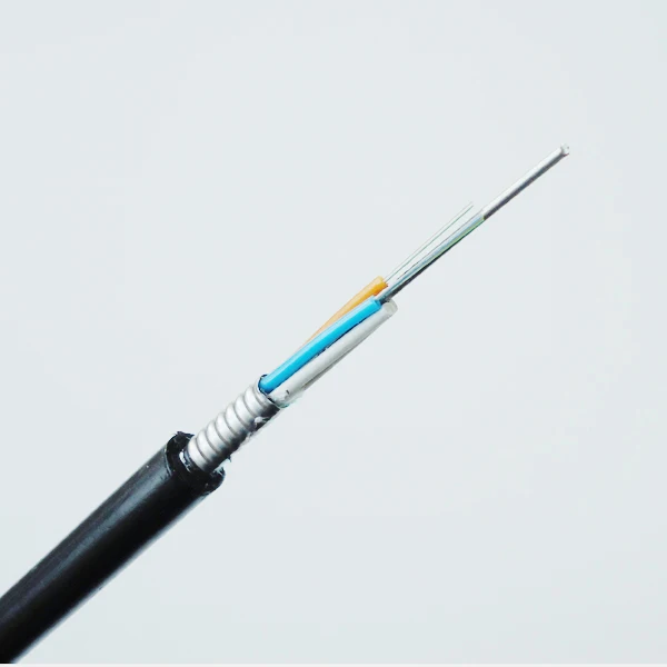 Fiber Optic Cable Manufacturers Gyts G652d Outdoor Armored 96 Core