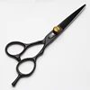 Japan Imported Genuine Pipe Hair Salon Professional Hair Scissors