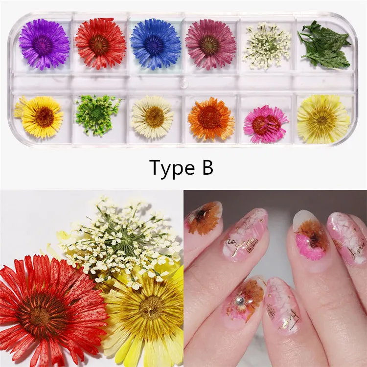 QT0188 Type B flower
