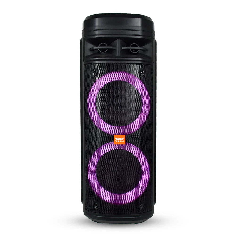 Feiyang dual 6.5 inch portable TWS bluetooth party pa system speaker with fm radio wireless mic FG206-06 - ANKUX.COM
