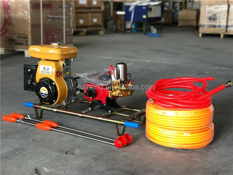 Robin type Power Sprayer.JPG