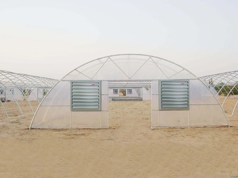 buy 塑料大棚,连栋温室,低成本温室热卖 product on alibaba