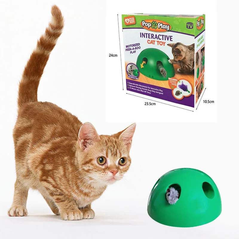 pop n play cat toy amazon